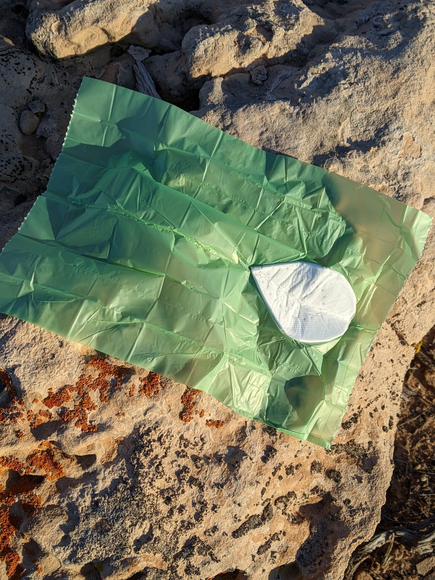 Backcountry Lemon Drop 6-pack