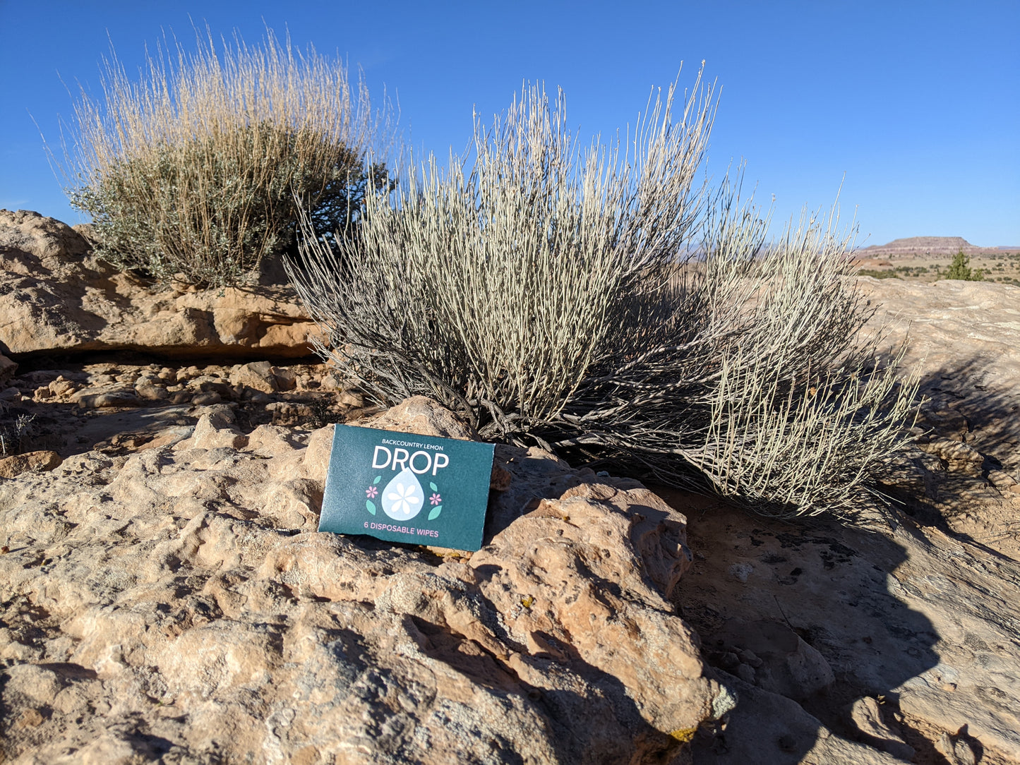 Backcountry Lemon Drop 6-pack