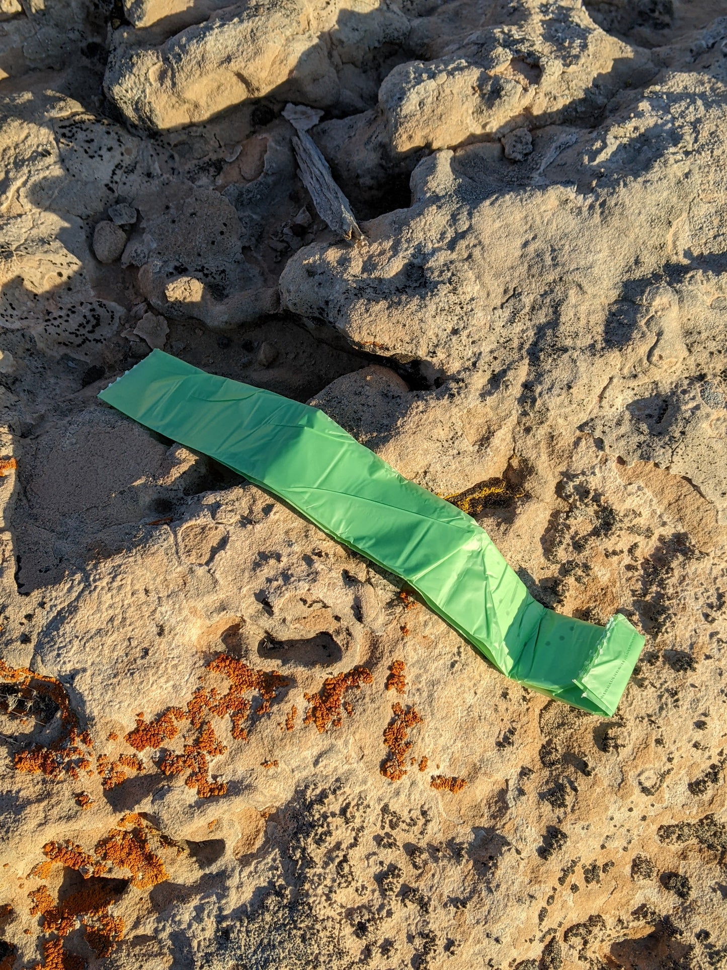 Backcountry Lemon Drop 6-pack