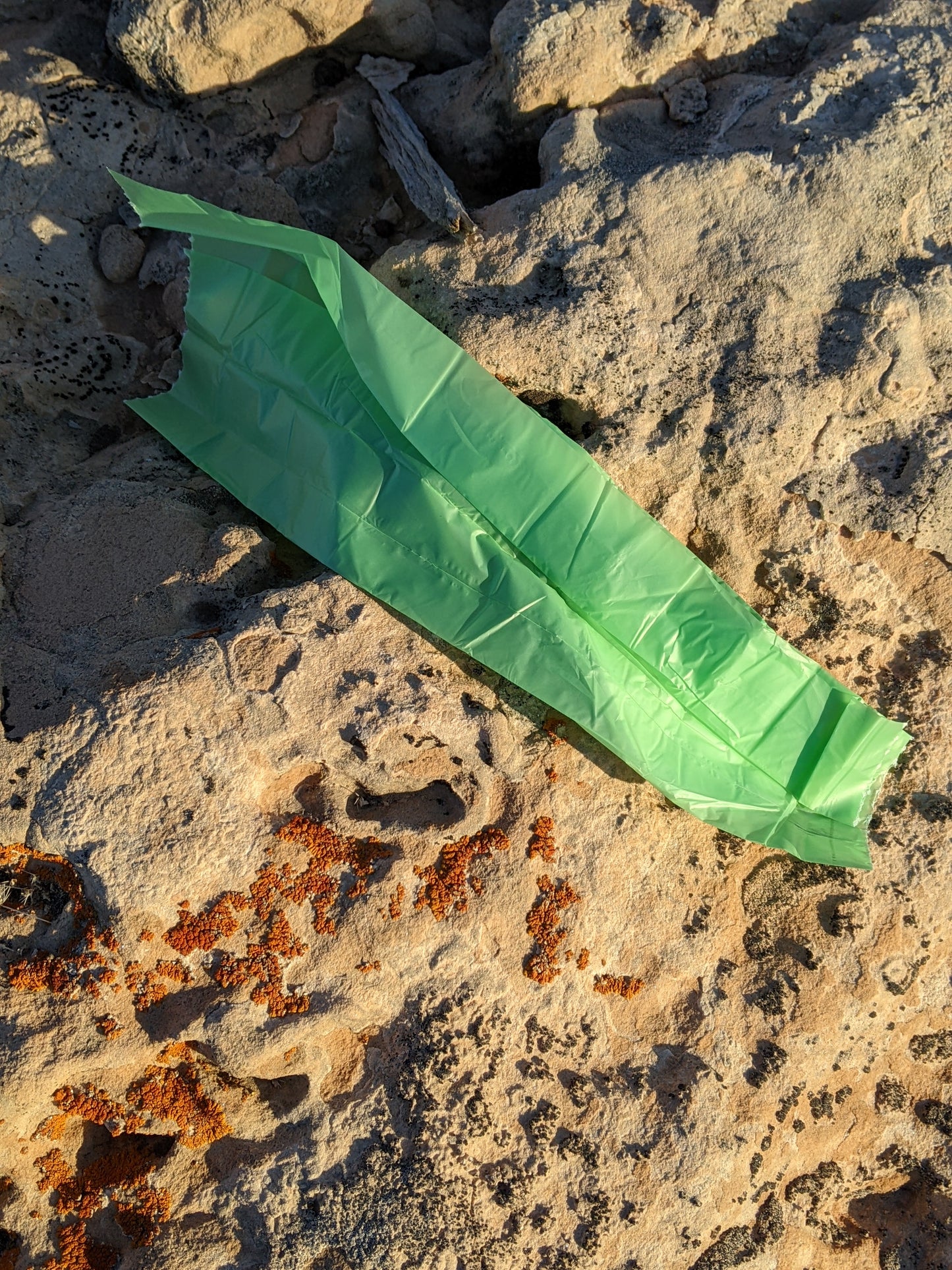 Backcountry Lemon Drop 6-pack