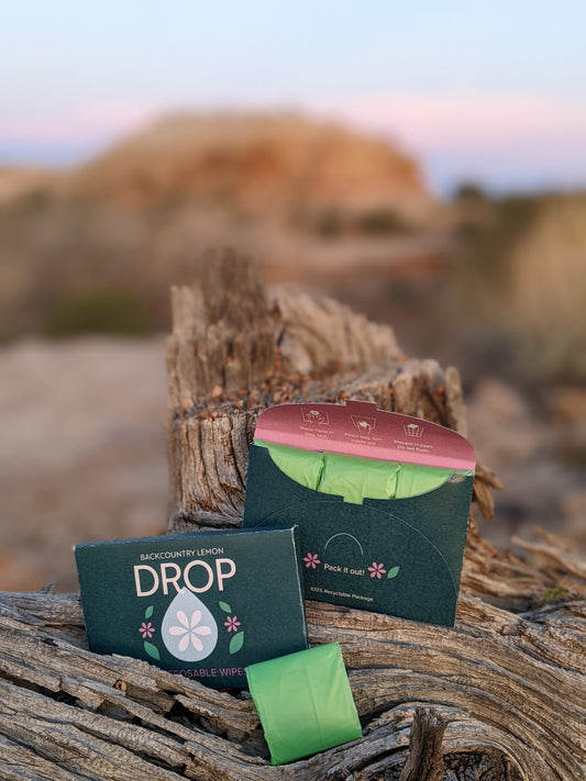 Backcountry Lemon Drop 6-pack